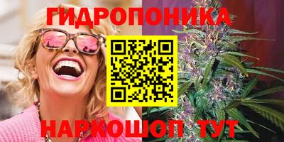 шишки Конаково