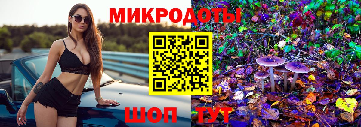 Псилоцибиновые грибы Psilocybine cubensis Кингисепп