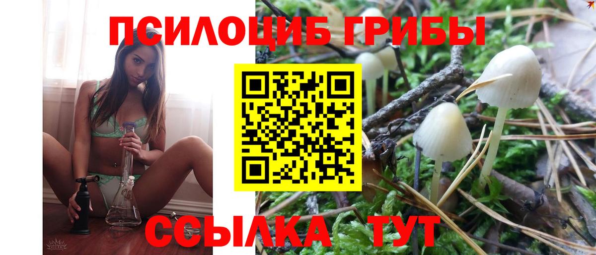 Кингисепп  Галлюциногенные грибы GOLDEN TEACHER  Вход с VPN 